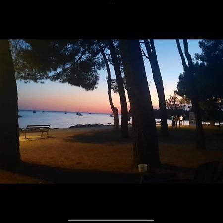 Apartman Sija Novigrad Новиград Екстериор снимка
