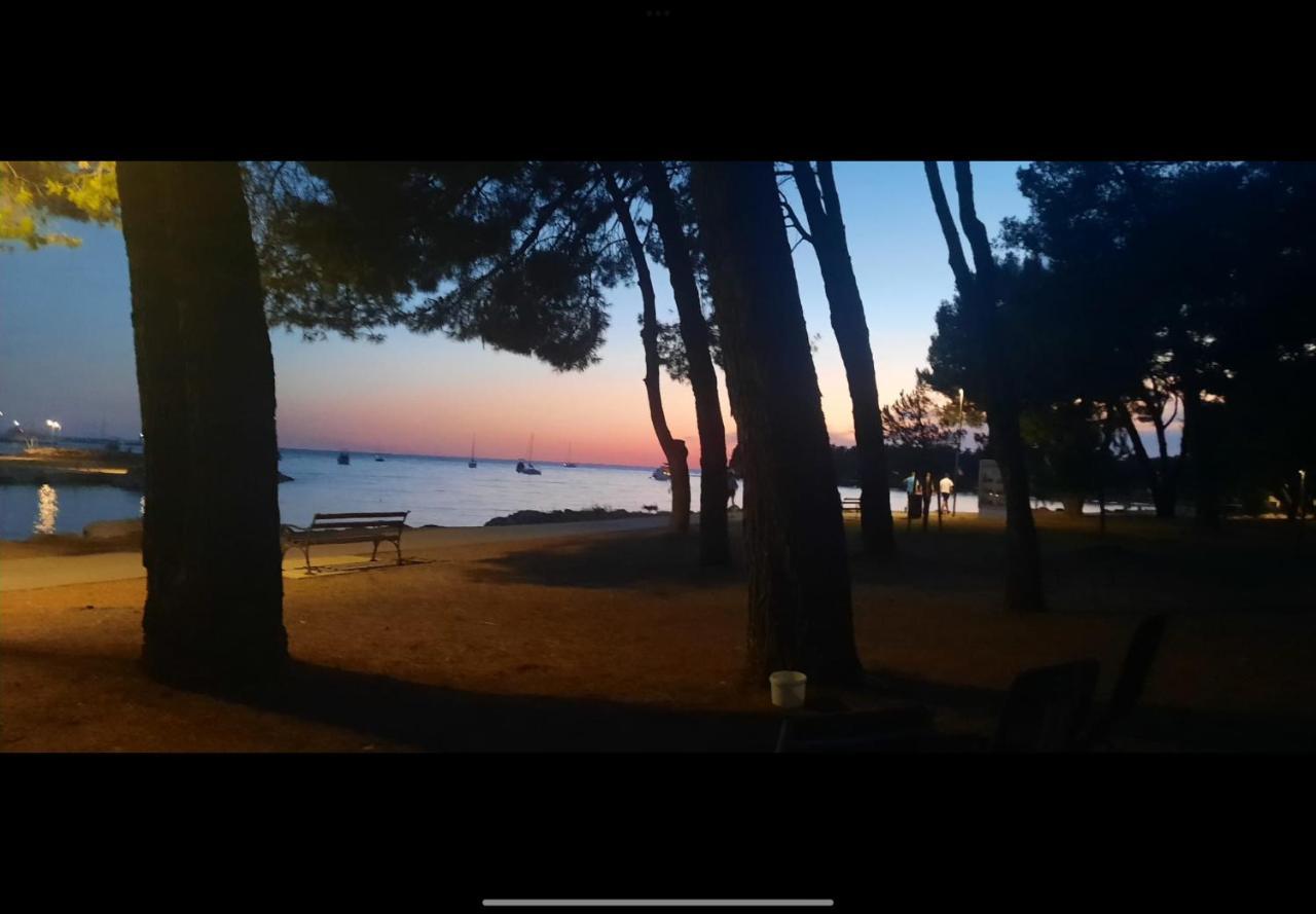 Apartman Sija Novigrad Новиград Екстериор снимка